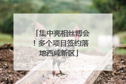 集中亮相丝博会！多个项目签约落地西咸新区